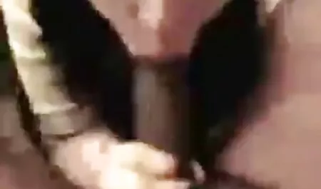 Bella crisalide presentata ai video erotici donne mature truffatori.