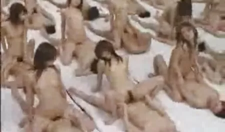 Gli studenti suggeriscono la ragazza è cresciuta e ha un grande uomo in bagno. video porno italiani milf