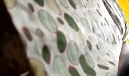 Giovane attrice donne mature video italiane mostra figa attraverso un buco in mutandine